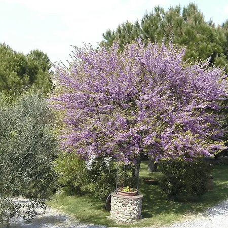 Casa Lucia In Chianti